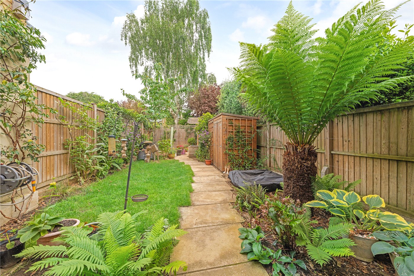 Garden